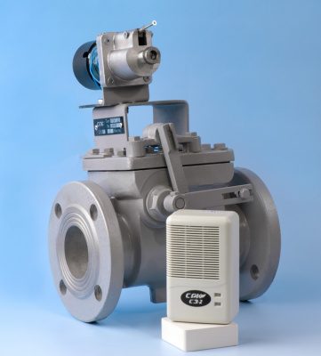 СГК-1-СО DN 50/100 ВД