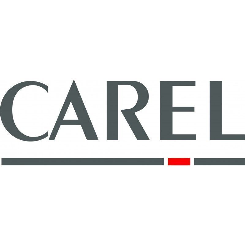 Carel Carel